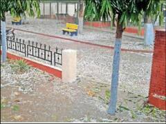 ਮੌਸਮ ਨੇ ਲਈ ਕਰਵਟ, ਪੰਜਾਬ ਦੇ ਕਈ ਇਲਾਕਿਆਂ 'ਚ ਹੋਈ ਗੜ੍ਹੇਮਾਰੀ, 11 ਤੋਂ 14 ਮਾਰਚ ਮੀਂਹ ਦਾ ਅਲਰਟ