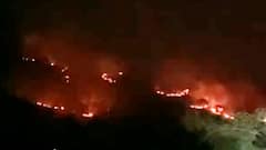 Vasai Fire | सातीवली खिंड परिसरातल्या डोंगराला भीषण आग