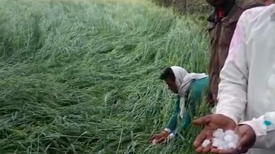ABP News ABP News