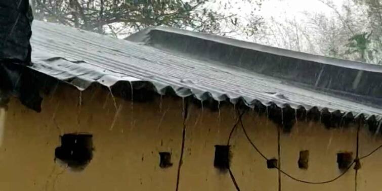Weather Report Rain brings relief at Bankura Purulia, MeT predicts showers in South Bengal including Kolkata  Weather Report বাঁকুড়া, পুরুলিয়ায় বৃষ্টি, কলকাতা-সহ দক্ষিণবঙ্গে বৃষ্টির পূর্বাভাস 