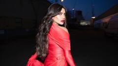 লাল পোশাকে ঝলমলে পিগি চপস, 'স্পেসম্যান এর অনুপ্রেরণা প্রিয়ঙ্কাই', বলছেন নিক