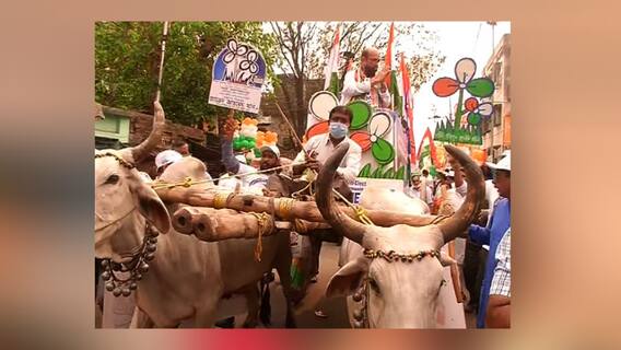 West Bengal Elections 2021: আকাশছোঁয়া পেট্রোল-ডিজেল, প্রতিবাদে গরুর গাড়িতে প্রচারে জাভেদ খান