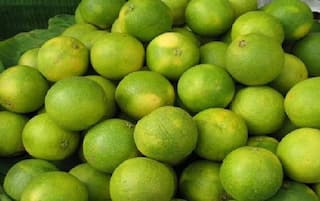 Health Tips :ગરમીની સિઝનમાં મોસંબી છે અમૃત સમાન ફળ, ખાવાથી થાય છે આ અદભૂત ફાયદા