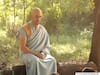 IPL 2021: MS Dhoni's Monk Avatar Is Breaking The Internet, Know The Reason Behind This New Look