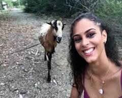 યુવતી સેલ્ફી લેતી હતી ને પાછળથી બકરીએ શિંગડુ મારીને ઉથલાવી દીધી