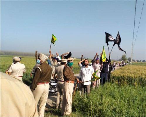 Vijay Sampla again a victim of farmers' anger, Farmer raised slogans and came up with black Flags ਵਿਜੇ ਸਾਂਪਲਾ ਮੁੜ ਹੋਏ ਕਿਸਾਨਾਂ ਦੇ ਗੁੱਸੇ ਦਾ ਸ਼ਿਕਾਰ