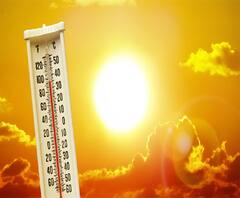 હવામાન વિભાગની ગરમી અંગે આગાહી, જાણો ક્યાં શહેરમાં ક્યારે વધશે ગરમીનું જોર
