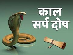 Kaalsarp Dosh: કુંડલીમાં કાળસર્પ દોષ છે? સોમવારે આ વિધિ વિધાન કરી મેળવી શકો છો મુક્તિ