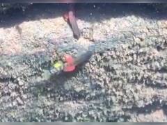 Sindhudurg | शिस्टुरा हिरण्यकेशी माशाला जैवविविधता वारसा स्थळाचा दर्जा देण्याची मागणी