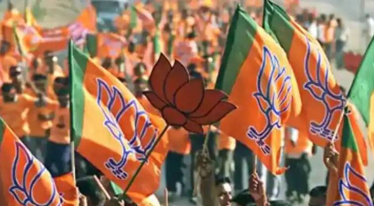 16 elected BJP members of Wankaner municipality resign રાજ્યની  આ નગરપાલિકામાં ભાજપમાં થયો ભડકો,  પ્રમુખ-ઉપપ્રમુખની જાહેરાત  પહેલા જ  16 સભ્યોના રાજીનામાં