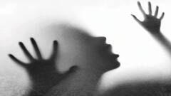 શેતાનનો અંત ક્યારે?: છેલ્લા 48 કલાકમાં સગીરા અને બાળકી સાથે દુષ્કર્મના બન્યા ત્રણ બનાવ