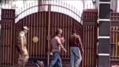 নজরে ৯ চটজলদি: কয়লা, গরুর পর এবার বাঘ পাচার!