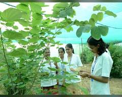 महाराष्ट्र आरोग्य विज्ञान विद्यापीठ लेखी परीक्षांचं सुधारित वेळापत्रक जाहीर,19 एप्रिलपासून परीक्षा