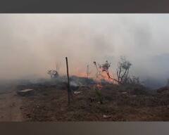 Rural News | गावागावातील बातम्यांचा वेगवान आढावा, तुमच्या गावात आज काय घडलं? माझं गाव माझा जिल्हा