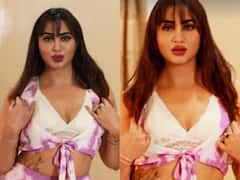Bigg Boss 14’s Arshi Khan Goes Bold As She Exposes Her Bralette For Photoshoot, Says ‘Do Whatever Makes You Happiest’