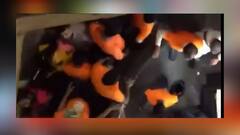 West Bengal Elections 2021: 'কফিহাউসে তাণ্ডবের ঘটনা ‘কাঙ্খিত না হলেও, অপ্রাসঙ্গিক নয়’, বললেন শমীক