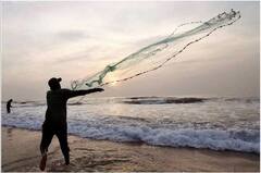 ਪਾਕਿਸਤਾਨ ਨੇ 11 ਭਾਰਤੀ ਮਛੇਰਿਆਂ ਨੂੰ ਕੀਤਾ ਗ੍ਰਿਫਤਾਰ, ਸਮੁੰਦਰੀ ਸਰਹੱਦ 'ਚ ਦਾਖਲ ਹੋਣ ਦੇ ਇਲਜ਼ਾਮ