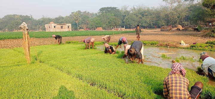কৃষকদের বার্ষিক ভাতা ১০ হাজার টাকা করা হবে বলেও প্রতিশ্রুতি দিয়েছে তৃণমূল।