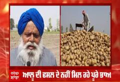 ਆਲੂ ਦੇ ਕਾਸ਼ਤਕਾਰ ਕਿਸਾਨ ਨੇ ਕੀਤੀ MSP ਦੀ ਮੰਗ
