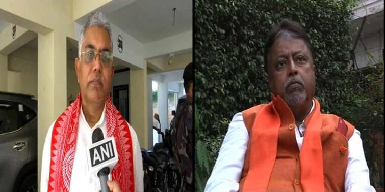 West Bengal Elections 2021 BJP mulling to field Dilip Ghosh, Mukul Roy in assembly elections WB Election 2021:  প্রার্থী হতে পারেন দিলীপ-মুকুল? ভাবনা বিজেপি শীর্ষ নেতৃত্বের