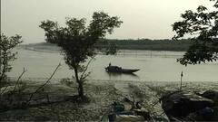 West Bengal Election 2021: ভোট নিয়ে কী প্রত্যাশা দক্ষিণ ২৪ পরগনার বাসিন্দাদের? খোঁজ নিল এবিপি আনন্দ