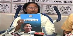 TMC Manifesto Released: বাংলার বাজেট ৩ গুণ বেড়েছে, বেড়েছে মানুষের মাথা পিছু আয়ও: মমতা