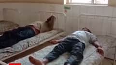 અમરેલીના આ ગામમાં જંગલી મધમાખીઓએ આતંક મચાવ્યો,જુઓ વીડિયો