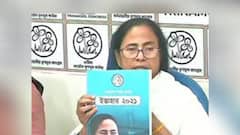 West Bengal Election 2021: ইস্তেহারে এবার ন্যূনতম রোজগারে জোর TMC-র