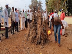 Shimgotsav | कोकणात शिमगोत्सवाला सुरुवात; ग्रामस्थांनी पेटवली पहिली होळी