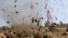 અમરેલીના વીરપુરમાં આવ્યું વંટોળ, ધાણાનો તૈયાર પાક ઉડવા લાગ્યો