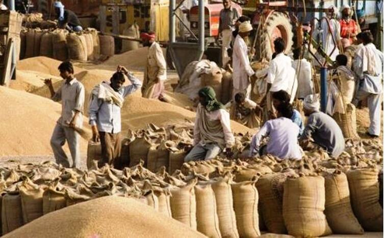 punjab government will start the wheat procurement from april 10 Wheat Procurement in Punjab: ਕੋਰੋਨਾ ਮਹਾਮਾਰੀ ਕਣਕ ਦੀ ਖਰੀਦ 'ਤੇ ਵੀ ਅਸਰ, ਪੰਜਾਬ ’ਚ ਐਤਕੀਂ ਲੇਟ ਹੋਵੇਗੀ ਖ਼ਰੀਦ