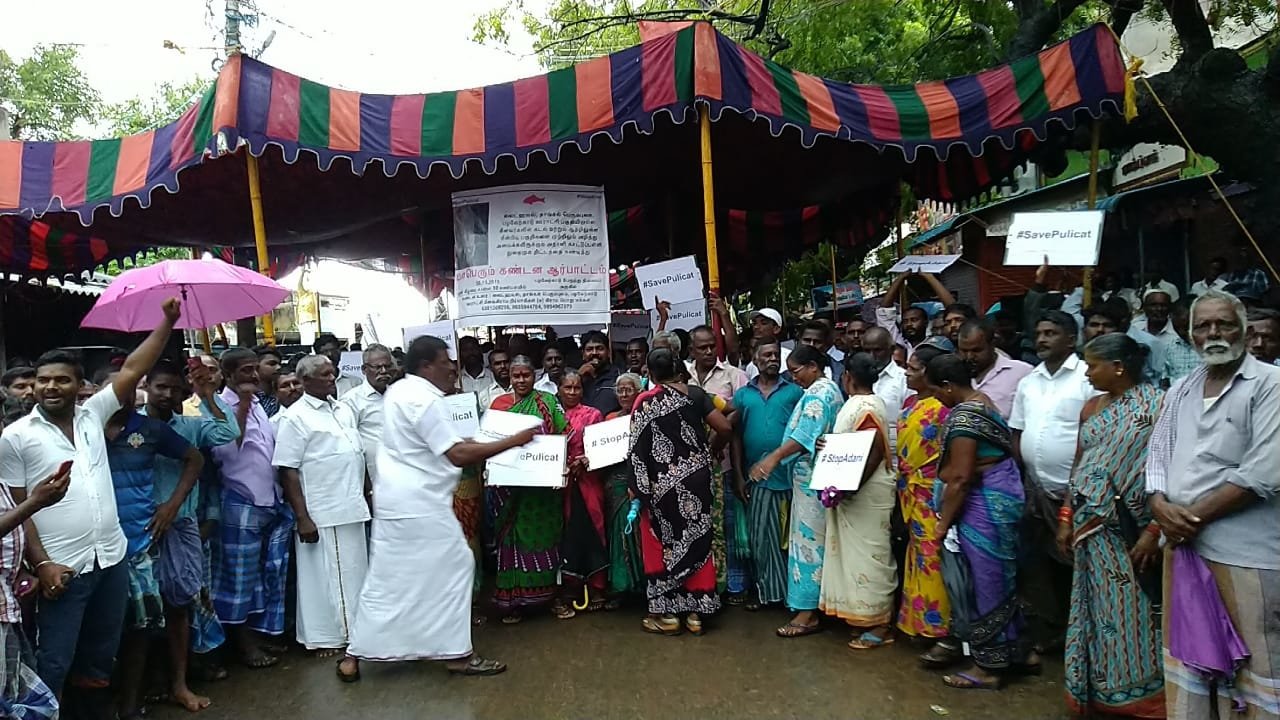 கைவிடப்படுகிறதா காட்டுப்பள்ளி துறைமுக விரிவாக்கத் திட்டம்?