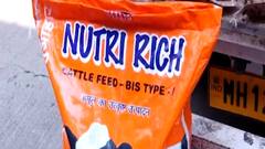 Pune | धक्कादायक! हडपसरमध्ये शालेय पोषण आहारात विद्यार्थ्यांना पशुखाद्य दिल्याचा आरोप