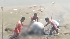 Antilia Case: Tawde connection & Vaze's code word; All about it | Master Stroke