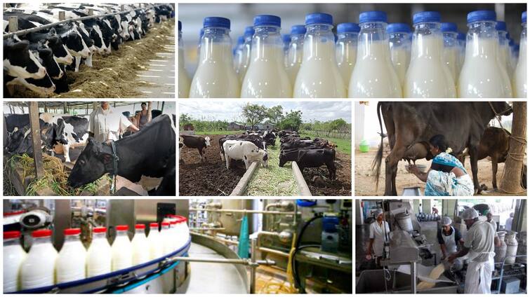 If you want to start a business in the dairy sector, you have many options, here are three business ideas related to  dairy sector ਡੇਅਰੀ ਲਾਭਕਾਰੀ ਖੇਤਰ! ਇਹ ਤਿੰਨ ਆਪਸ਼ਨ ਨਾਲ ਘੱਟ ਨਿਵੇਸ਼ ਕਰਕੇ ਕਮਾ ਸਕਦੇ ਹੋ ਵਧੇਰੇ ਮੁਨਾਫਾ