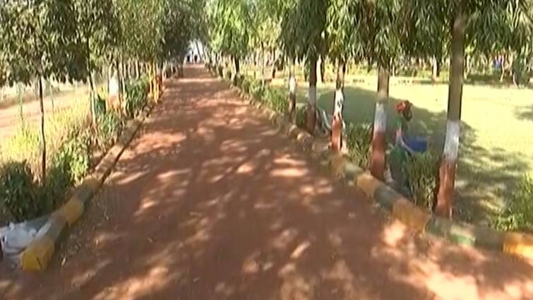 NDMC is developing these parks, world class facilities will be available here ann NDMC Parks: NDMC अपने इन पार्कों को कर रही है विकसित, यहां मिलेगी वर्ल्ड क्लास सुविधाएं