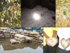 Rain Photo : अवकाळी... शेतकऱ्यांवर अस्मानी संकट, गारपीटीनं पीकं आडवी!