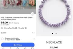 ਟੈਲੀਫੋਨ ਦੀ ਤਾਰ ਨਾਲ ਬਣਿਆ ਹਾਰ ਦੀਆਂ ਫੋਟੋਆਂ ਵਾਇਰਲ, ਕੀਮਤ ਜਾਣ ਹੋ ਜਾਓਗੇ ਹੈਰਾਨ