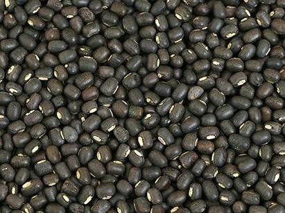 Myanmars coup has affected the urad dal price of India and how? மியான்மர் ராணுவ ஆட்சியும் இந்தியாவின் உளுந்து விலையும் – ஒரு கெயாஸ் தியரி கதை!