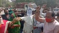 ગોંડલ શહેર ભાજપ પ્રમુખની આગેવાનીમાં કોગ્રેસ પ્રદેશ પ્રમુખ અમિત ચાવડાના પૂતળાનું કરાયું દહન