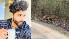 Ravindra Jadeja: শুভেচ্ছা জানাতে জঙ্গলে জাডেজার সামনে হাজির বাঘ! তারপর...