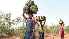 চলতি হাওয়া: জঙ্গলমহলের বর্তমান পরিস্থিতি কী? কী চাইছেন সেখানকার মানুষ? ঘুরে দেখল এবিপি আনন্দ