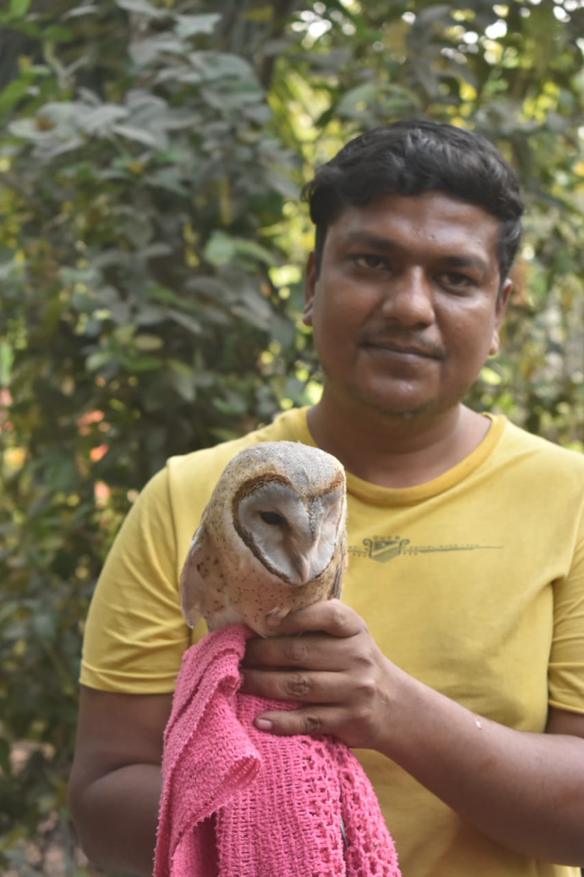 Owl rescued in Barasat: বারাসাত থেকে উদ্ধার বিরল প্রজাতির পেঁচা