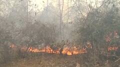 અરવલ્લીના જાલિયાના જંગલ વિસ્તારમાં લાગી આગ, ગ્રામજનોની વધી ચિંતા