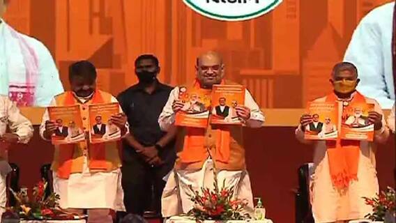 BJP Manifesto Released: 'আমি একজন বানিয়া, আমার উপর ভরসা রাখুন', বিজেপির ইস্তেহার প্রকাশ অনুষ্ঠানে অমিত শাহ