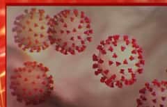 ਭਾਰਤ 'ਚ ਕੋਰੋਨਾ ਮਾਮਲਿਆਂ 'ਚ ਇਜ਼ਾਫਾ ਜਾਰੀ, 114 ਦਿਨਾਂ ਬਾਅਦ ਰਿਕਾਰਡ ਕੇਸ