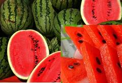 Health Tips: ગરમીમાં તરબૂચ છે અમૃતફળ સમાન, જાણી લો તેના અદભૂત ફાયદા, ડાયટમાં જરૂર કરો સામેલ