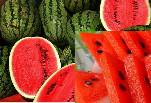 ગરમીમાં આવતા પાણીદાર ફળો સ્વાસ્થ્ય માટે અનેક રીતે હિતકારી છે. તરબૂચમાં ફેટ ઓછી અને 92 ટકા પાણી હોય છે. તે શરીરને હાઇડ્રેઇટ રાખે છે. તરબૂચ વજન ઉતારવાની સાથે અન્ય કઇ રીતે ગુણકારી છે જાણીએ...