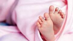 West Bengal Election 2021: বর্ধমানে বোমা বিস্ফোরণে শিশুর মৃত্যু