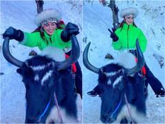 Urvashi Rautela Celebrate 35 Million Followers On Instagram By Posing On Yak
